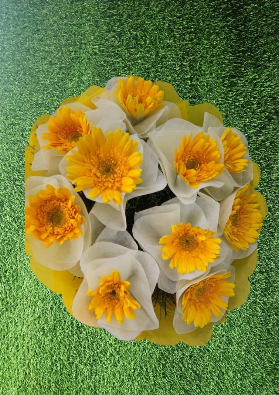 Sunny Gerbera Glow πβ¨ - Sai Flower