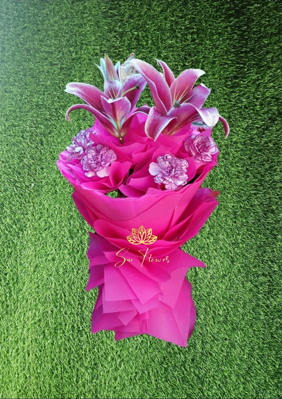 Stargazer Pink Bliss - Sai Flower