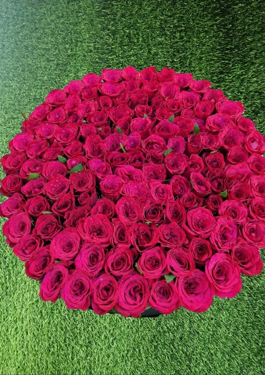 Luxurious 100 Red Roses in Premium Round Box - Sai Flower