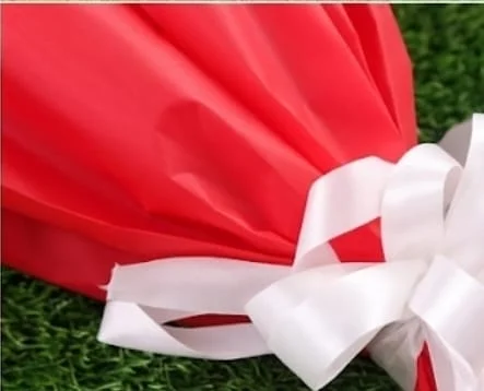 Premium Red Rose Bouquet with White Fillers – Elegant Romantic Flower Gift for Valentine & Anniversary gallery